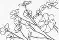 /album/prit/kyticky-jpg/